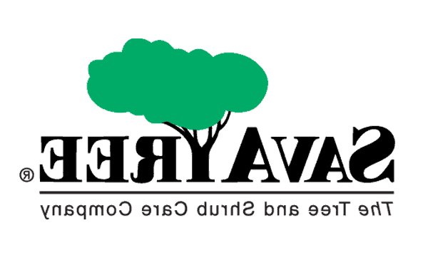 Savatree logo