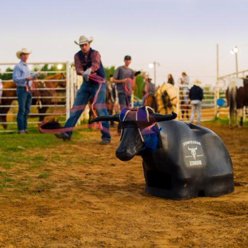 Students roping a plastic steer.