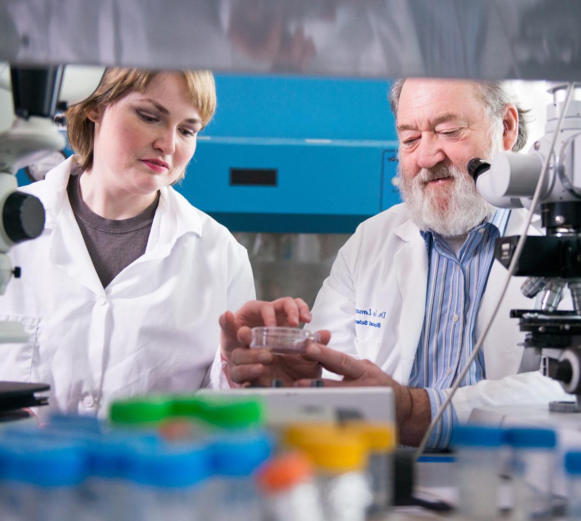 Two professors of the Biomedical Institute for Regenerative Research (BIRR) working in the lab. 