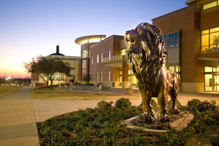 雷伯恩学生中心前的新狮子雕像.