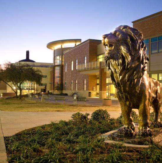 雷伯恩学生中心前的新狮子雕像.