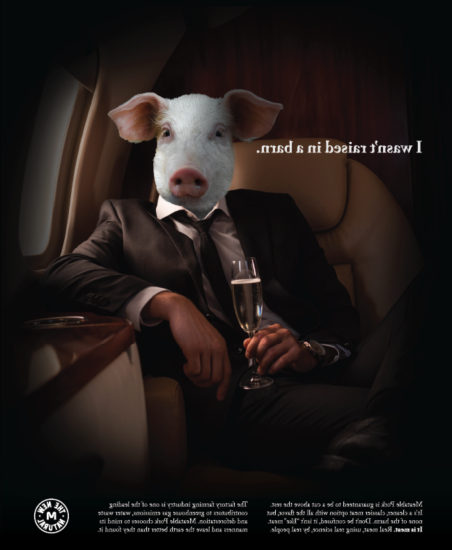 一个长得像猪的人坐在一架豪华飞机上.