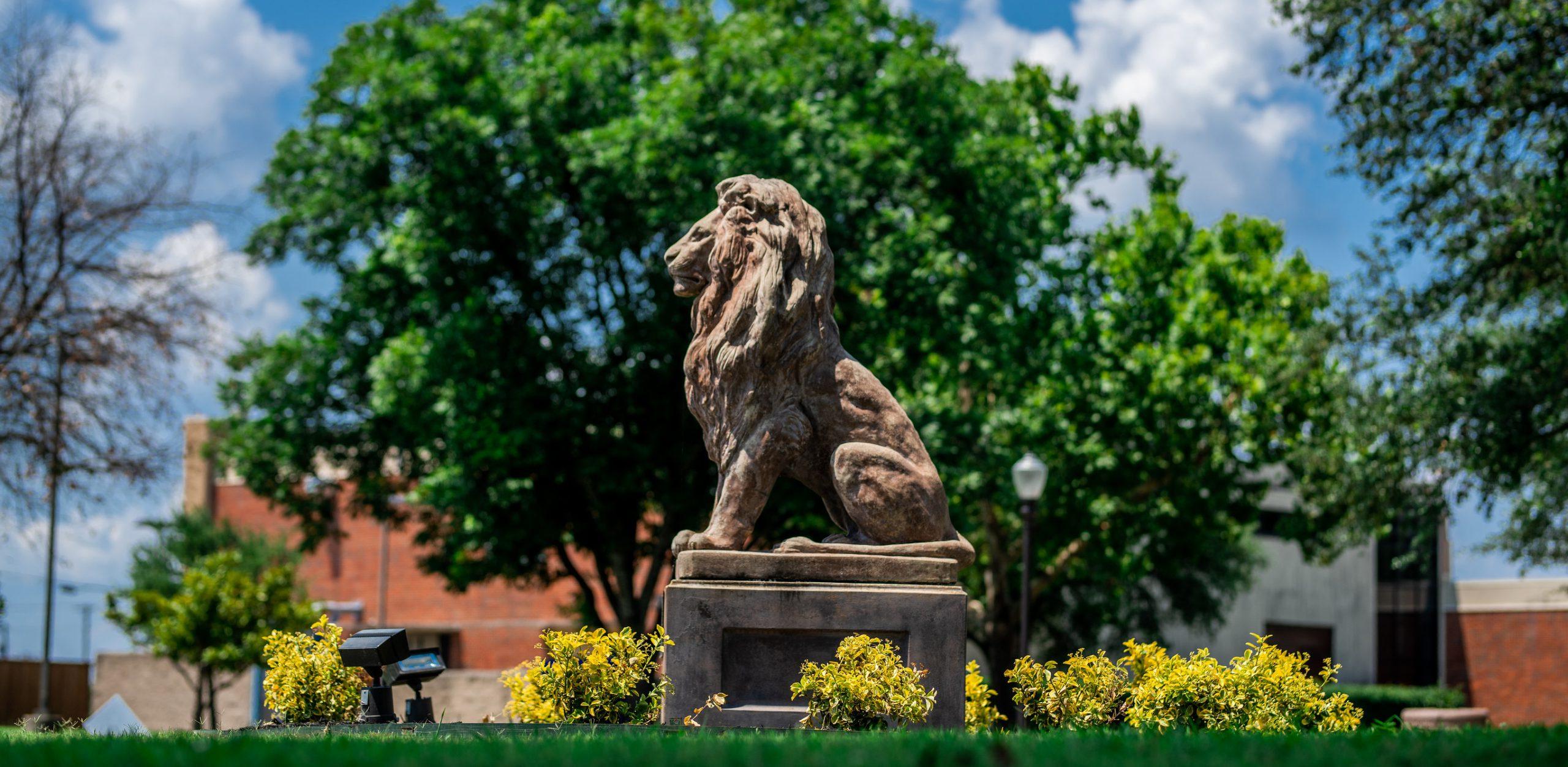 德克萨斯大学校园里的狮子雕像&M University-商务